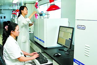 河南以網絡技術服務驅動食品出口升級，九項措施精準應對新挑戰