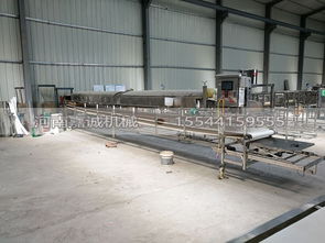 國內知名紅薯粉皮加工設備選購指南 廠家、價格與銷售熱線